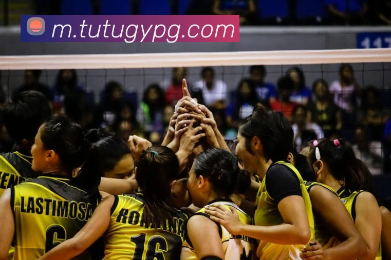 世界杯买球发展历程